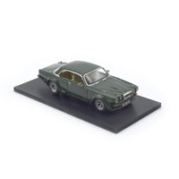 Steed-big-cat-7_100x@2x.